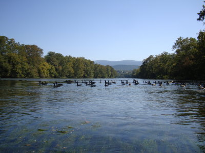 DSC02321.JPG