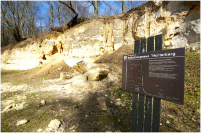 Gronsveld - Kalksteengroeve Trichterberg