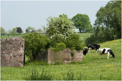 resten van de cementfabriek op de Vijlenberg