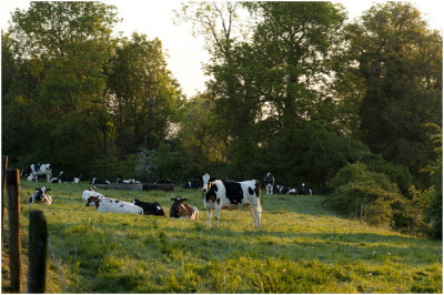 Boven op de Keutenberg - 's-morgens om 06.30 uur