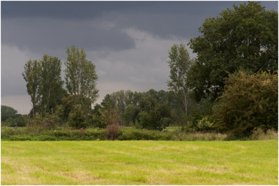 natuurgebied de Doort