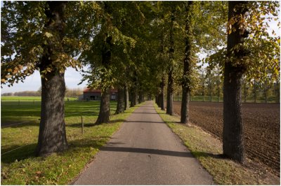 Kommelderweg
