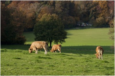 tussen Schweiberg. Eperheide en Slenaken