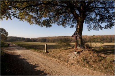 landschap op de grens met Duitsland