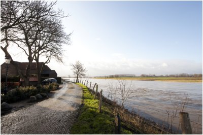 De  Maas in de Maasband