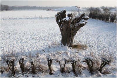 winter in de Veldschuur