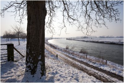 Winterlandschap aan de Maas