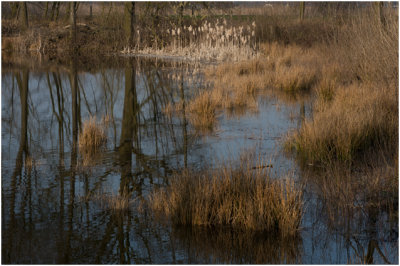 Kleiputten