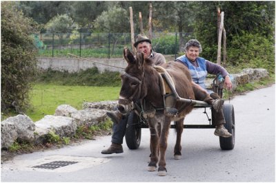 Ezelkarretje