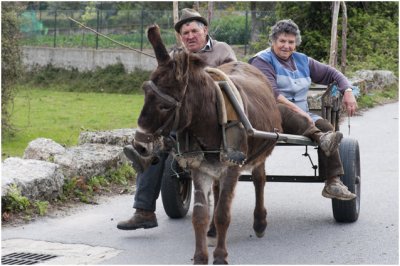 Ezelkarretje