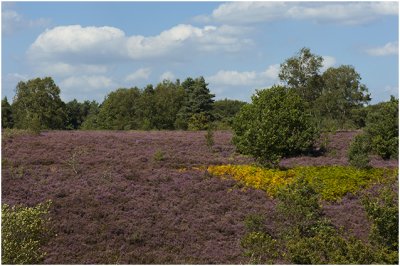 Mechelse heide