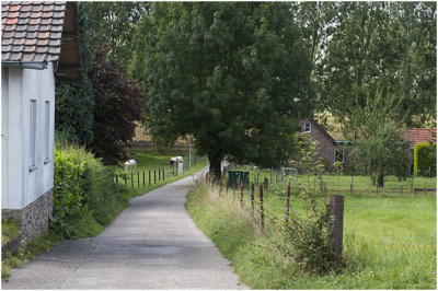 Broekhoven