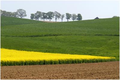 Tussen Pesaken en Landsrade