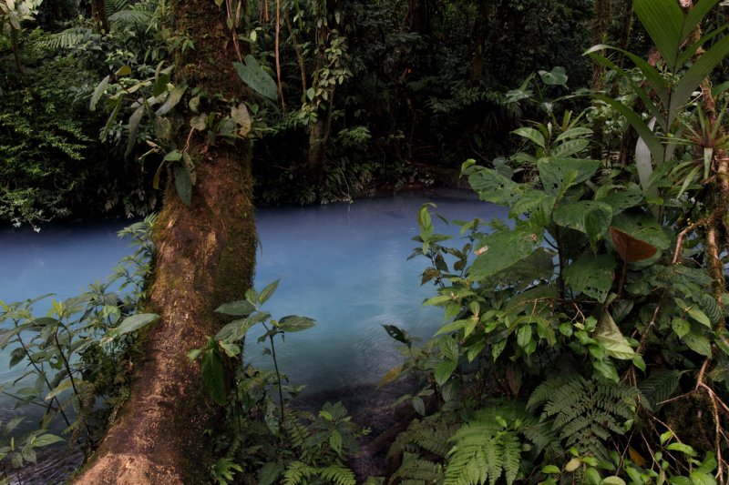 1st 50 of Rio Celeste copy.jpg