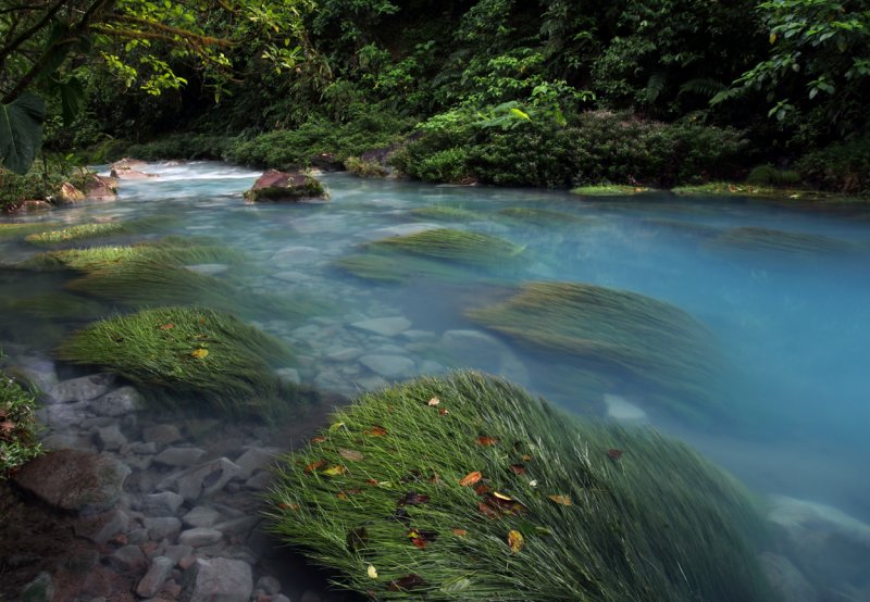 Rio Celeste pool copy.jpg