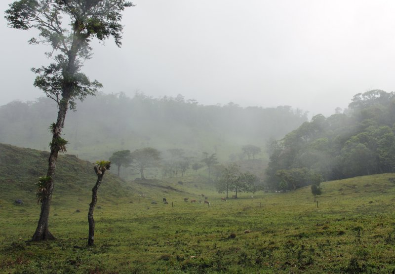 The hills above Bijagua copy.jpg