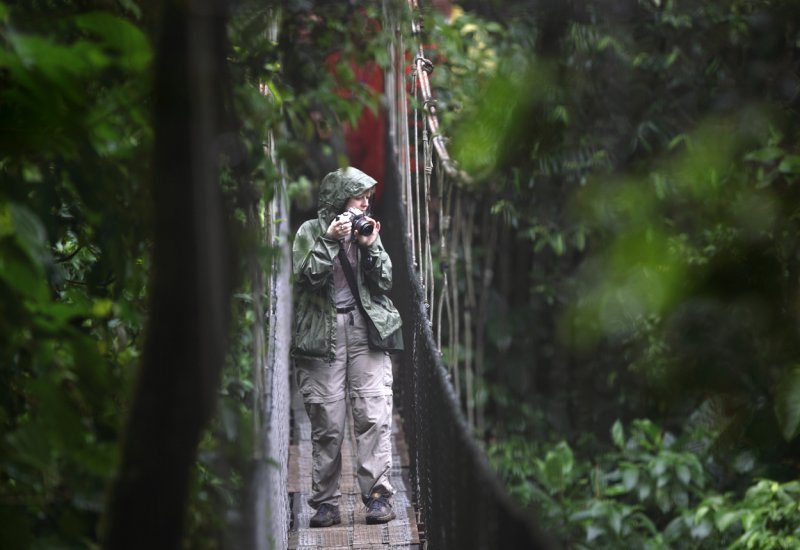 Simone walking hanging bridge in rainforest copy.jpg