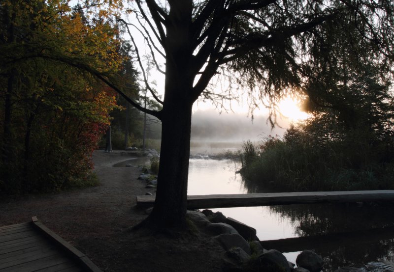 Headwaters foot bridge sunrise fall 2011 copy.jpg