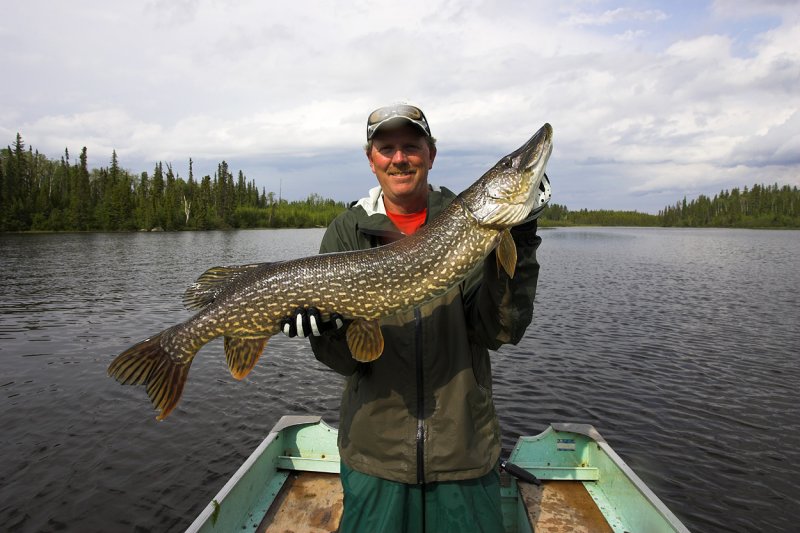 3rd bonus pike   16.8.jpg