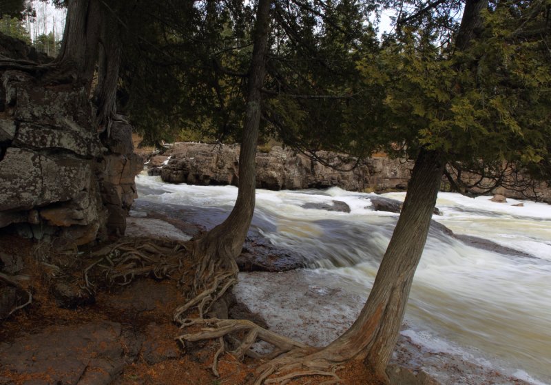 Goosberry River bank copy.jpg