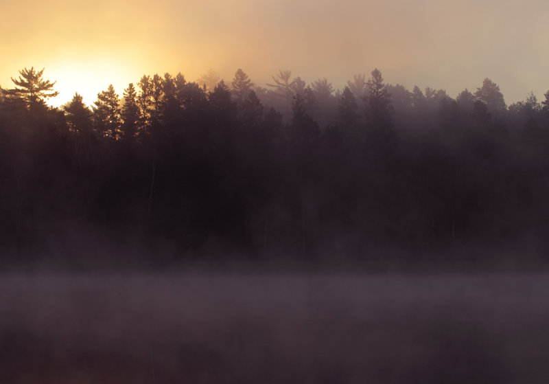 Mary Lake foggy sunrise copy.jpg