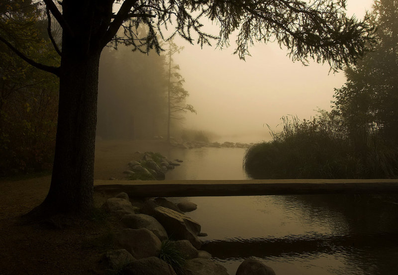 Foggy sunrise at the Headwaters 2.jpg