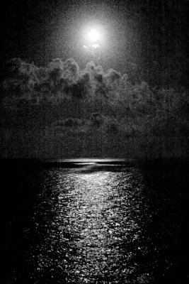 The Moon Lit Sea