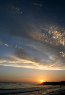 IMG_0114 copy.jpg