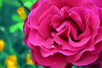 IMG_0416 copy.jpg