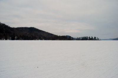 DSC_0561.jpg