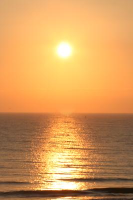 IMG_0164.JPG