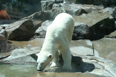 Omaha 2006-059.jpg