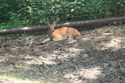 Omaha 2006-077.jpg