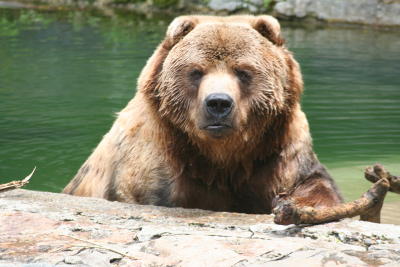 zoo2-10.jpg