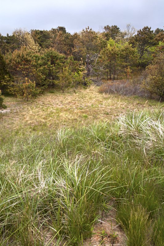 rc-052111-0015-copy.jpg