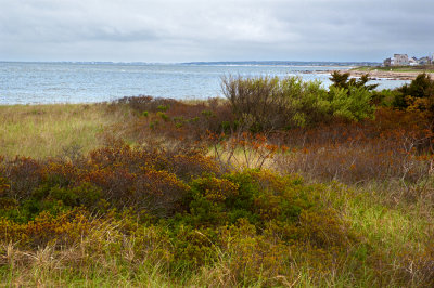 rc-052111-0013-copy.jpg