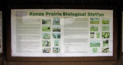 Konza Prairie: Kansas