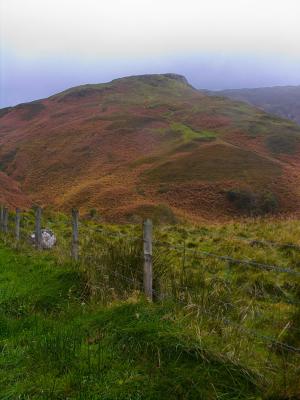 Above Inverinan Forest (DSCN1148.jpg)