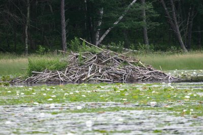 IMG_8067.JPG