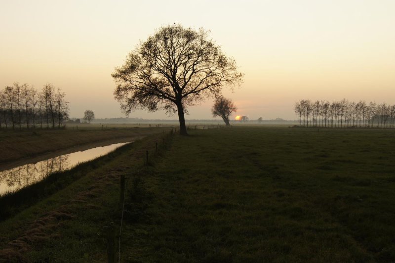 Sundown midwinter