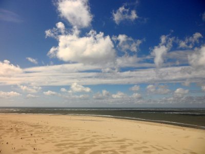 Also Texel
