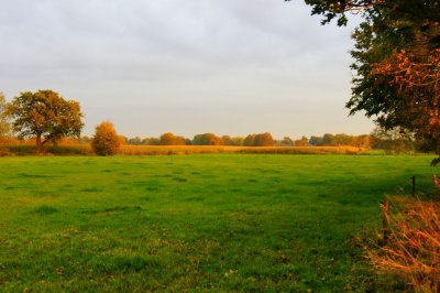 Near sundown, very nice light