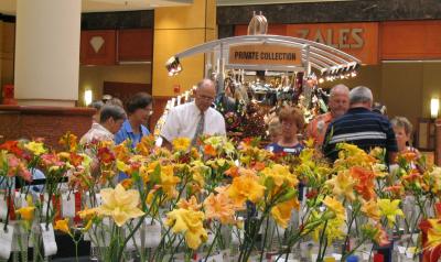 Judges lost in a sea of blooms.jpg