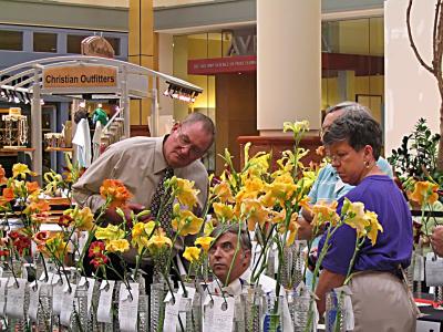 Judges studying 2.jpg