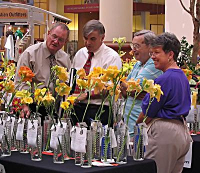 Judges studying 3.jpg