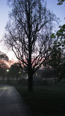 Early morning walk through the park