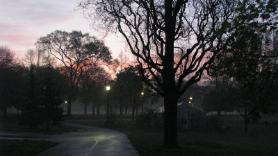 Early morning walk through the park