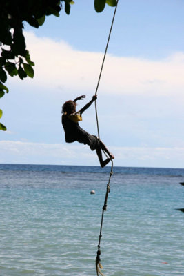 tropical trapeze