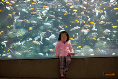 Zoo-10.jpg