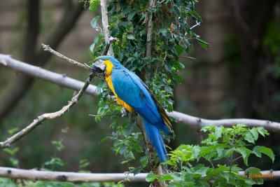 Zoo-31.jpg